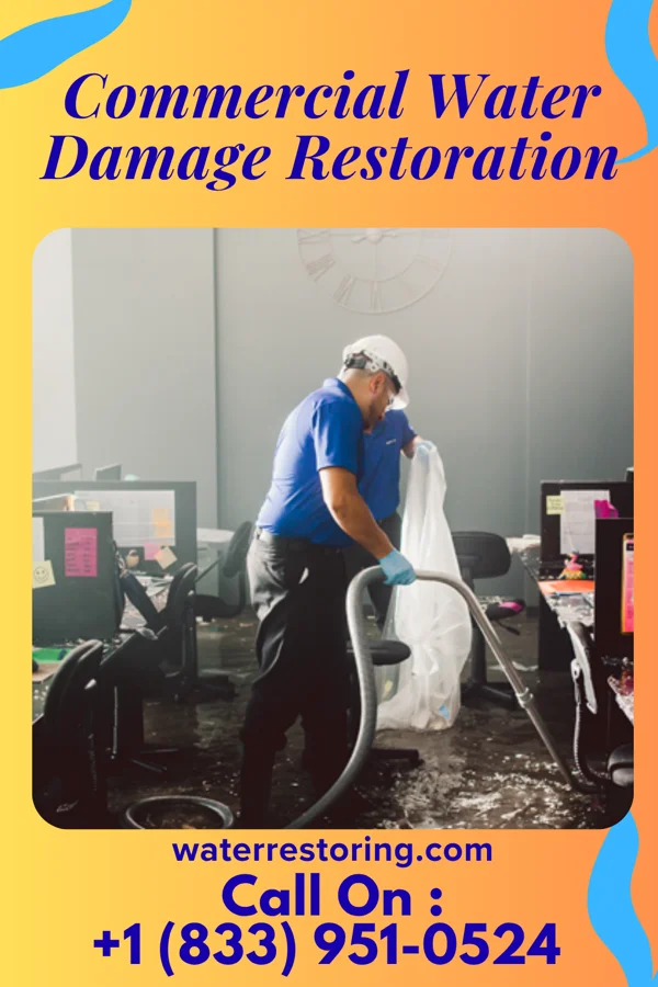 Commercial Water Damage Restoration in Cayce, SC