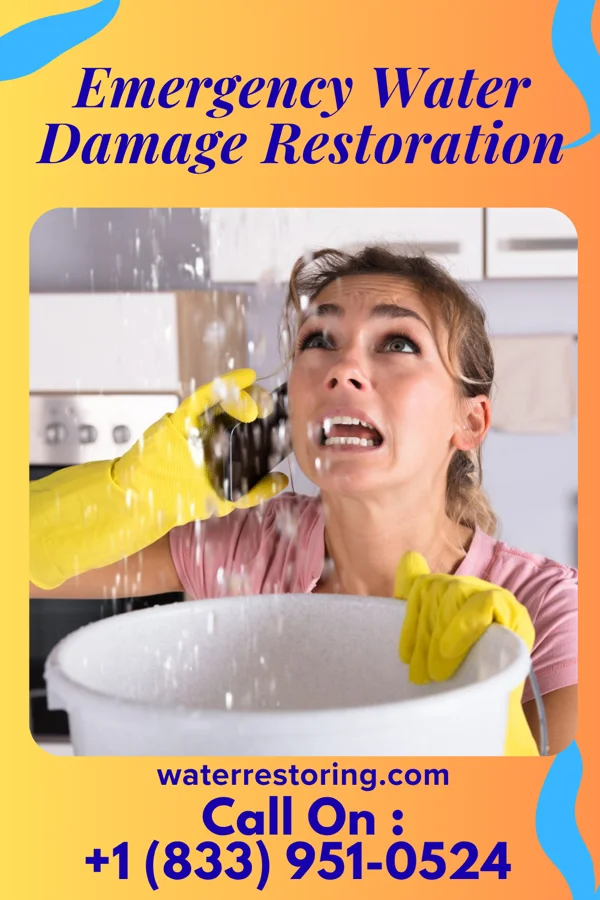 Emergency Water Damage Restoration in Cayce, SC