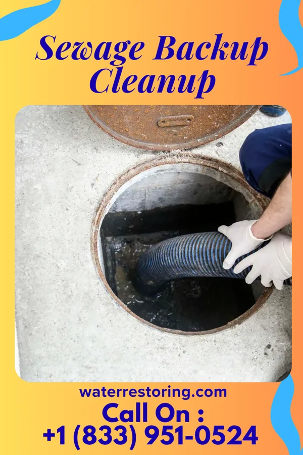 Sewage Backup Cleanup in Cayce, SC