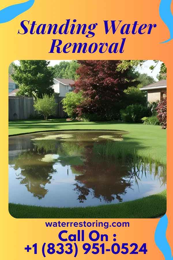 Standing Water Removal in Cayce, SC